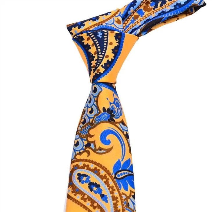 printed polyester paisley tie (11)
